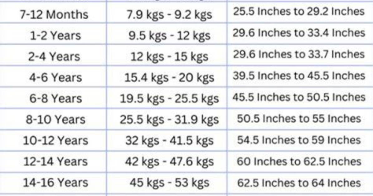 A Comprehensive Guide to His Height, Weight, Age, Boyfriend, And