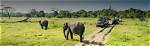 A Journey of Wildlife, Adventure, and Success