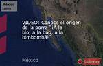 A La Bio a La Bao: an Exploration of a Cultural Phenomenon