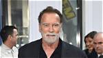 Arnold Schwarzenegger Might Not Show up in Expendables 4 Rumor Is Shocking Fans All over the World