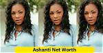 Ashanti's Financial Journey: Exploring Ashanti Net Worth