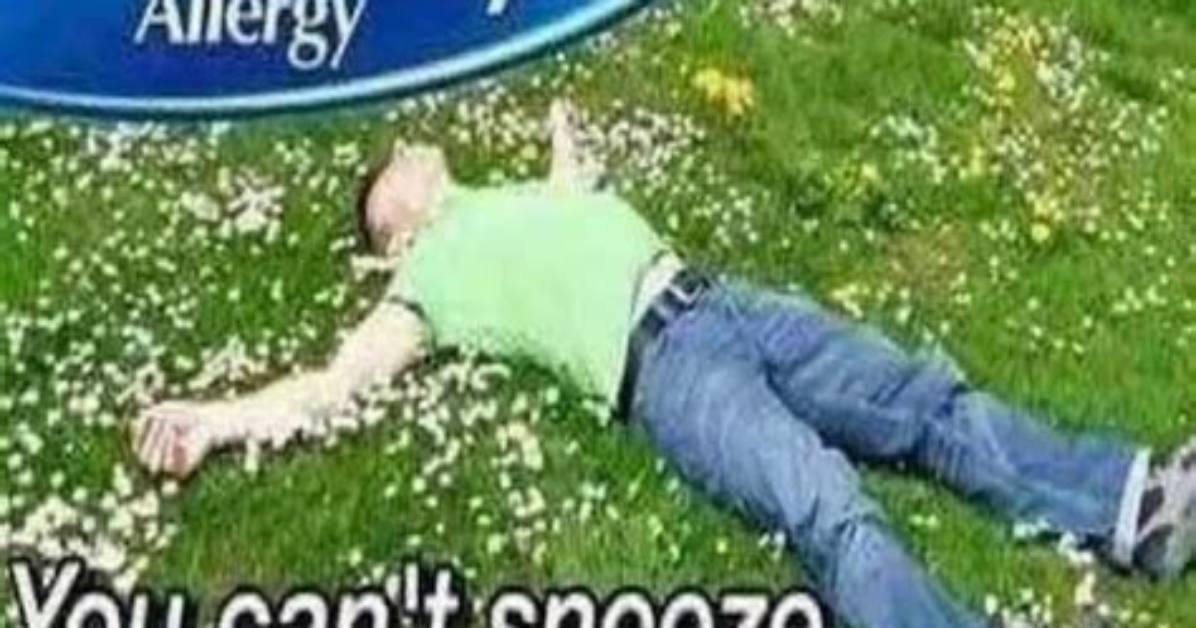 Benadryl Memes: the Humorous Side of Allergy Relief