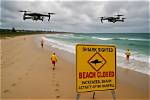 Brace for Impact: Shark Attacks Surge in Hilton Head 2024