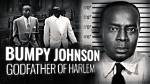 Bumpy Johnson: the Legendary Harlem Godfather