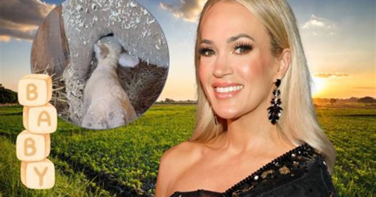 Carrie Underwood's Pregnancy: Unraveling the Truths
