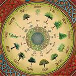Celtic Zodiac: Elder Tree - Sunsigns. Org
