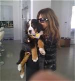 Chelsea Handler Welcomes a Bernese Mountain Dog into Her Family