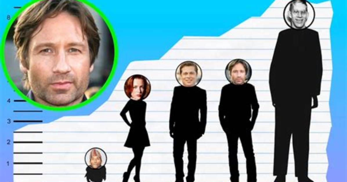 David Duchovny's Height: How Tall Is He?