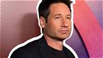 David Duchovny: the Versatile Star of Film and Television