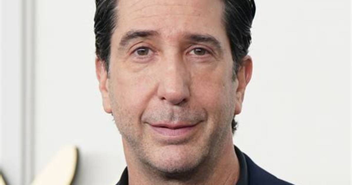 David Schwimmer: a Comprehensive Look at the Life and Career of Ross Geller