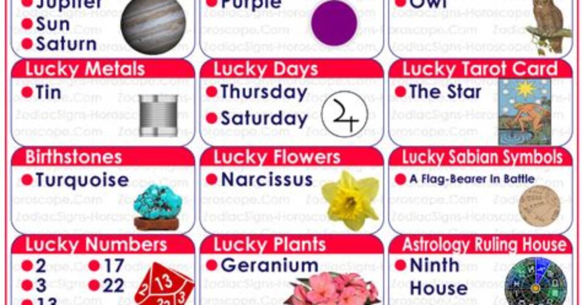 December 17 Zodiac Horoscope Birthday Personality