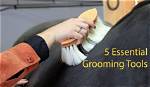 Discover the Secrets of Exceptional Horse Grooming with "Grooming by Brenda"