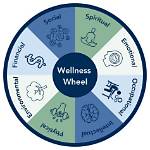 Discoveries and Insights for Enhanced Well-Being