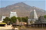 Discovering Annamalai Native Place: a Journey Through Heritage and Culture