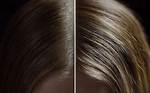 Discovering the Allure of Mkvmoviepoint Hair