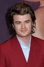 Does Stranger Things Star Joe Keery Support the Palestinian Cause?