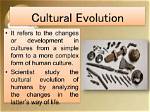Donny and the Evolution of a Cultural Phenomenon