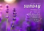 Embracing the Serenity of a Beautiful Sunday Good Morning