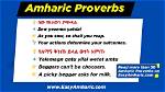 Essential Amharic Proverbs: Wisdom and Wit from Ethiopia