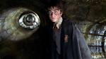 Exploring Ludwig: the Enigmatic Connection to Harry Potter