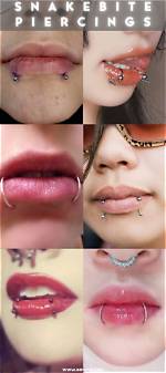 Exploring the Allure of Snake Bite Piercings for Men