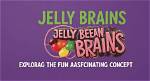 Exploring the Colorful World of Jellybean Brains