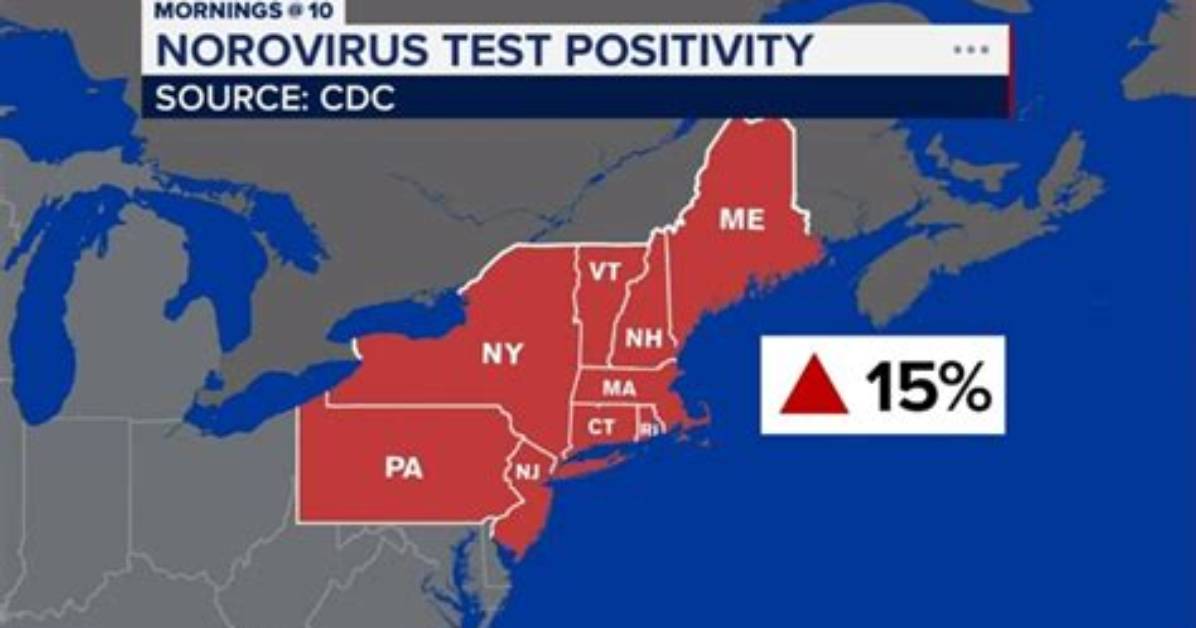 Exploring the Current Stomach Virus Outbreak Map 2024