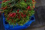 Exploring the Fascinating Journey of Chili Age Tlc