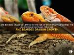 Exploring the Fascinating Relationship Between Dragon and Monkey