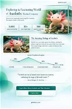 Exploring the Fascinating World of Axolotls: What Are the Types of Axolotls?