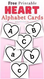 Exploring the Heart of the Alphabet: What Lies in the Middle?