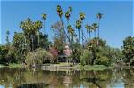 Exploring the Los Angeles Arboretum and Botanic Garden: a Hidden Gem of Nature