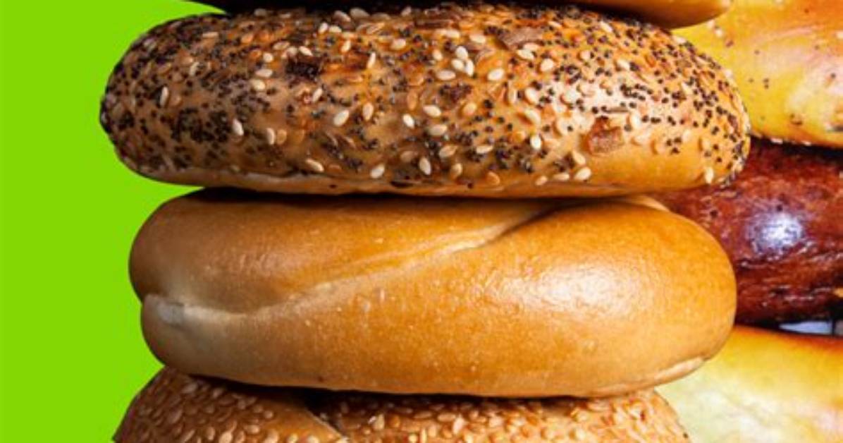 Exploring the Quirky World of Bagel No Bagel Cat