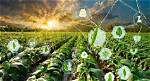 Forecasting Plant City: Understanding the Climate, Agriculture, and Future Trends