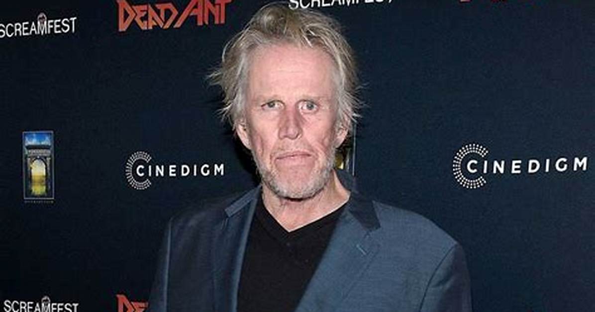 Gary Busey Illness Brain Damage Condition Now