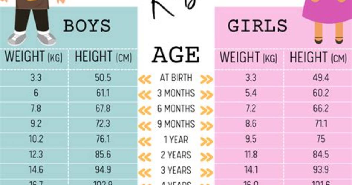 Height, Weight, Age, and Relationship Status Explored