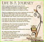Hello Brigit: a Journey Through Her Life and Achievements