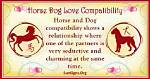 Horse and Dog Compatibility: a Dreamy Connection ·