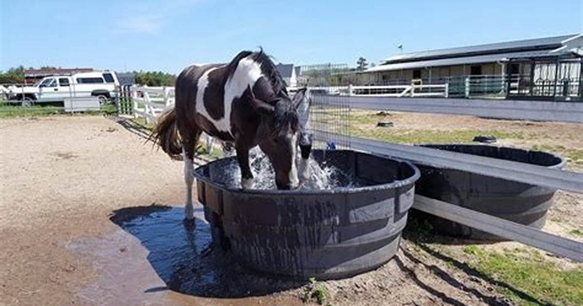 How Do You Keep a Horses Trough from Freezing?