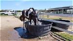 How Do You Keep a Horses Trough from Freezing?