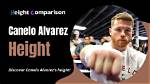 How Tall Is Canelo Alvarez? Uncovering the Mexican Boxer's Height