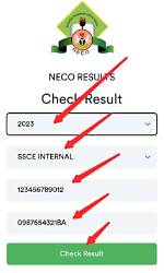 How to Check Neco Result Online: a Comprehensive Guide