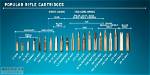 How to Choose the Best Ammunition for Your Firearm