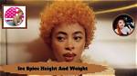 Ice Spice's Height and Weight Explored