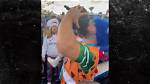 Jason Kelce's Bowling Ball Shot: an in-Depth Exploration