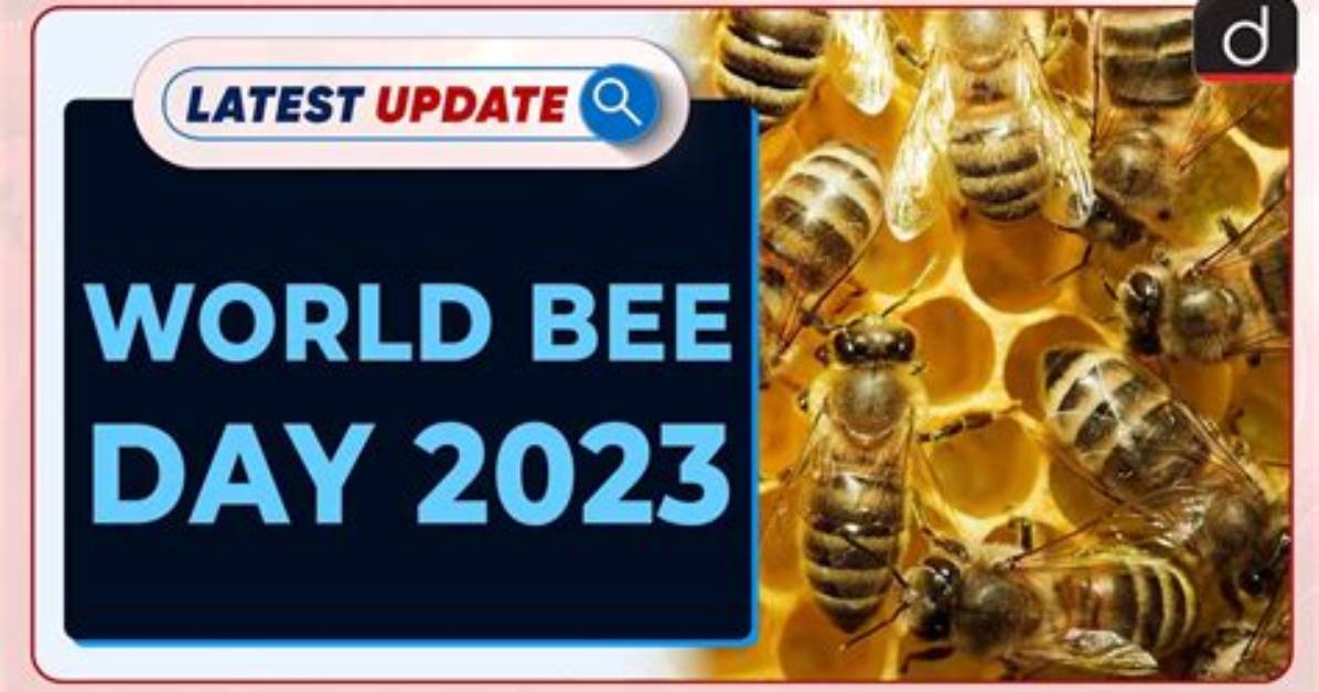 Latest Update: How Old Are the Bee Gees' Grandchildren Today?