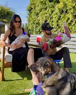 Milo Ventimiglia's Family: a Look into the Actor's Personal Life