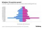 Muslim Population in Bellingham: Demographics and Distribution