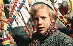 Peter Ostrum: the Willy Wonka Star Who Became a Vet
