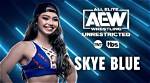 Skye Blue Wrestler Wiki, Biography, Net Worth, Age, Career, Relationship, Family